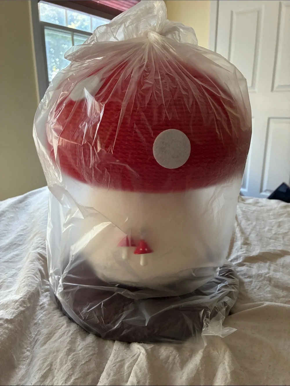 NWT Mushroom Cat Scratcher (Still in shipping bag, shown in pictures from China)